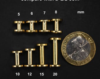 SILMEN Quality Flat Head Solid Brass Chicago Screw Rivets 10 pcs Hardware for Making/Repairing Belt, Leathercraft, DIY, Handcraft
