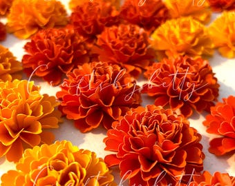 Modèle de fleur en papier souci : Cempasuchil SVG, PDF, .STUDIO (téléchargement numérique)