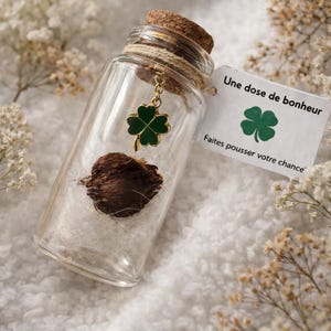 Puede incluir: Una botella de vidrio transparente con tapón de corcho, que contiene un objeto marrón oscuro y un dije de trébol de cuatro hojas verde. Una pequeña etiqueta dice "Une dose de bonheur" y "Faites pousser votre chance". La botella está atada con hilo.