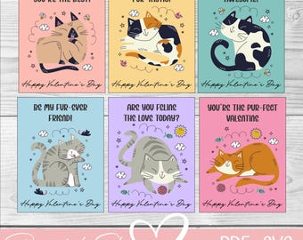 Valentijn kittens