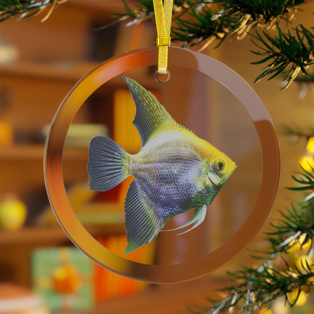 Photo inspiration: Fresh Look at Angel Fish Glass Ornament