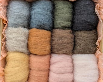 Merino Wool Roving Set – 12 Colors Needle Felting Supplies, Ukrainian Wool Tops with Tools, Craft Kit for Adults