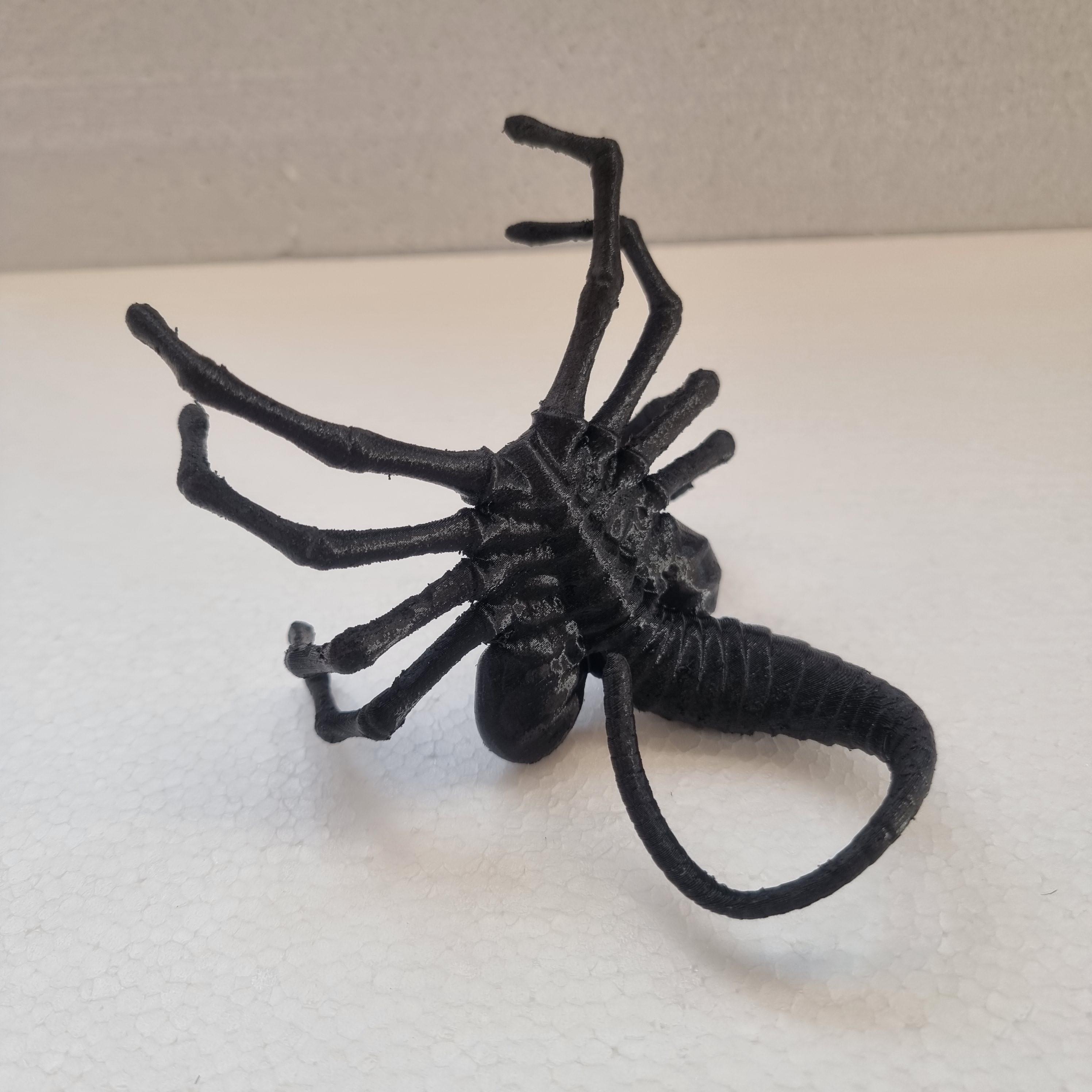 Facehugger Alien 3D Printed phone stand gift box set personalised - Thumbnail 5