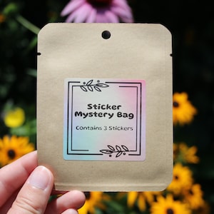 Kawaii Mystery Sticker Blind Grab Bag - 3 Vinyl Stickers