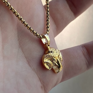 May include: A gold chain necklace with a gold ram head pendant.