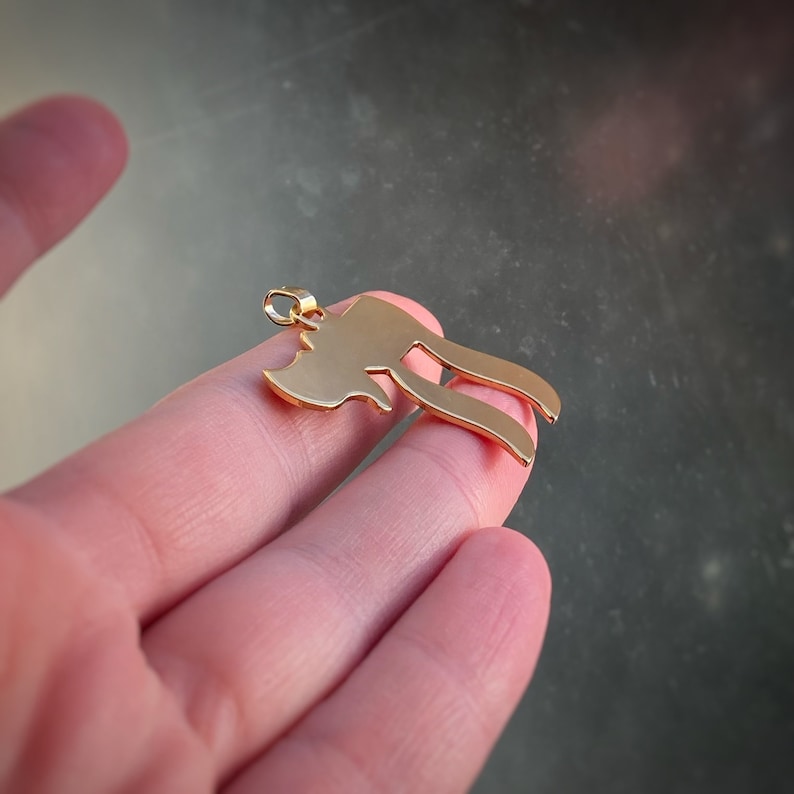 Peut inclure: Un pendentif en forme de lettre h&eacute;bra&iuml;que Chai, symbole de vie, de couleur dor&eacute;e.