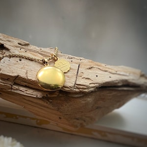 Locket + Zodiac Astrology Sign Horoscope Pendant Necklace in 18k Gold with chain and length options - perfect gift!