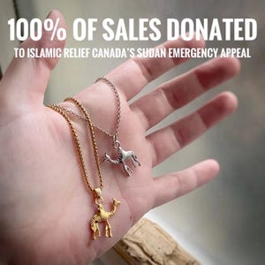 Camel Charm or Pendant Necklace ~ 100% of sale price donated to Sudan ~ avail in gold and rhodium plate w/ 5 chain options, w/ velvet pouch.