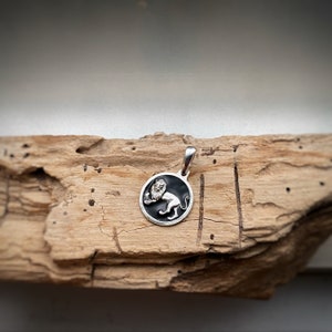 Solid Sterling Silver Zodiac Coin Pendant Necklace Charm with or without chain and black enamel, Astrology Horoscope, custom color