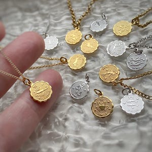 Astrology Sign Horoscope Coin Zodiac Pendant Necklace in Silver on Delicate Chain Celestial Charm