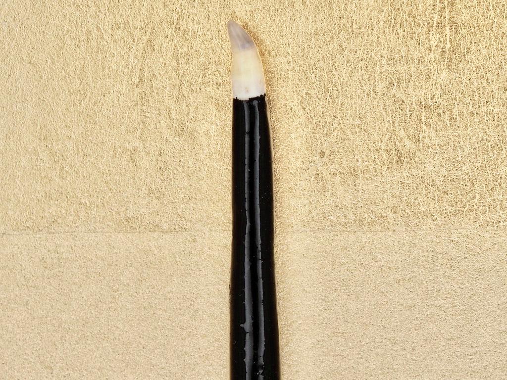 Kintsugi Teeth Traditional Japanese Kintsugi Supplies - Traditional Bream Tooth ...