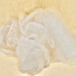 May include: A pile of white fluffy fiber, possibly cotton or wool, against a light beige background.