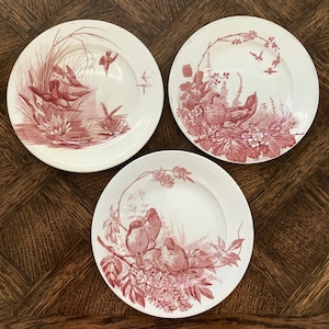 Jules Vieillard - Etsy