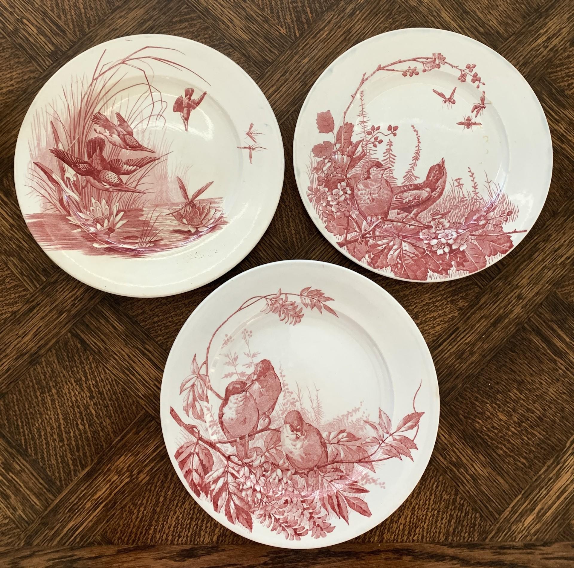 Antique French Faience - Etsy