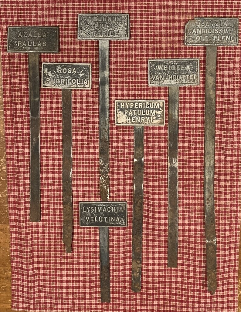 RARE Antique English Thick Zinc Garden Plant/flower Marker & Etsy