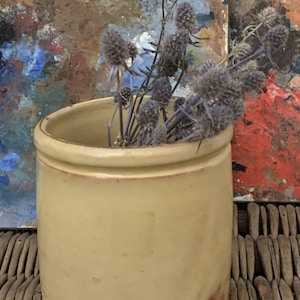 May include: A light yellow ceramic pot with a rounded rim, holding dried thistle flowers. The pot has a slightly distressed appearance with reddish-brown accents. The background features a colorful abstract painting.