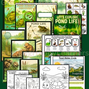Puede incluir: Una colección de imprimibles educativos con temática de estanque. El conjunto incluye ilustraciones de ranas, libélulas y tortugas, junto con gráficos educativos sobre el ecosistema del estanque y el ciclo del agua. El texto incluye "Pond Science Discovery" y "Let's Explore Pond Life!"