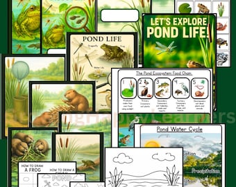 Pond Life Unit | Science, Math & Literacy (Digital Download)