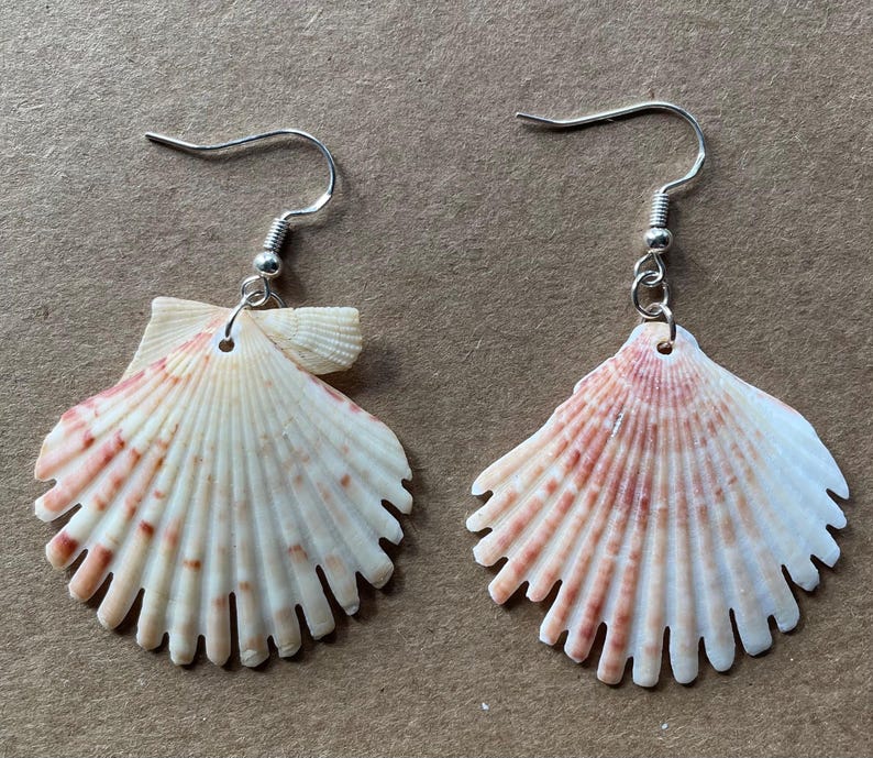 Sea Shell Earings Carved Etsy — free download