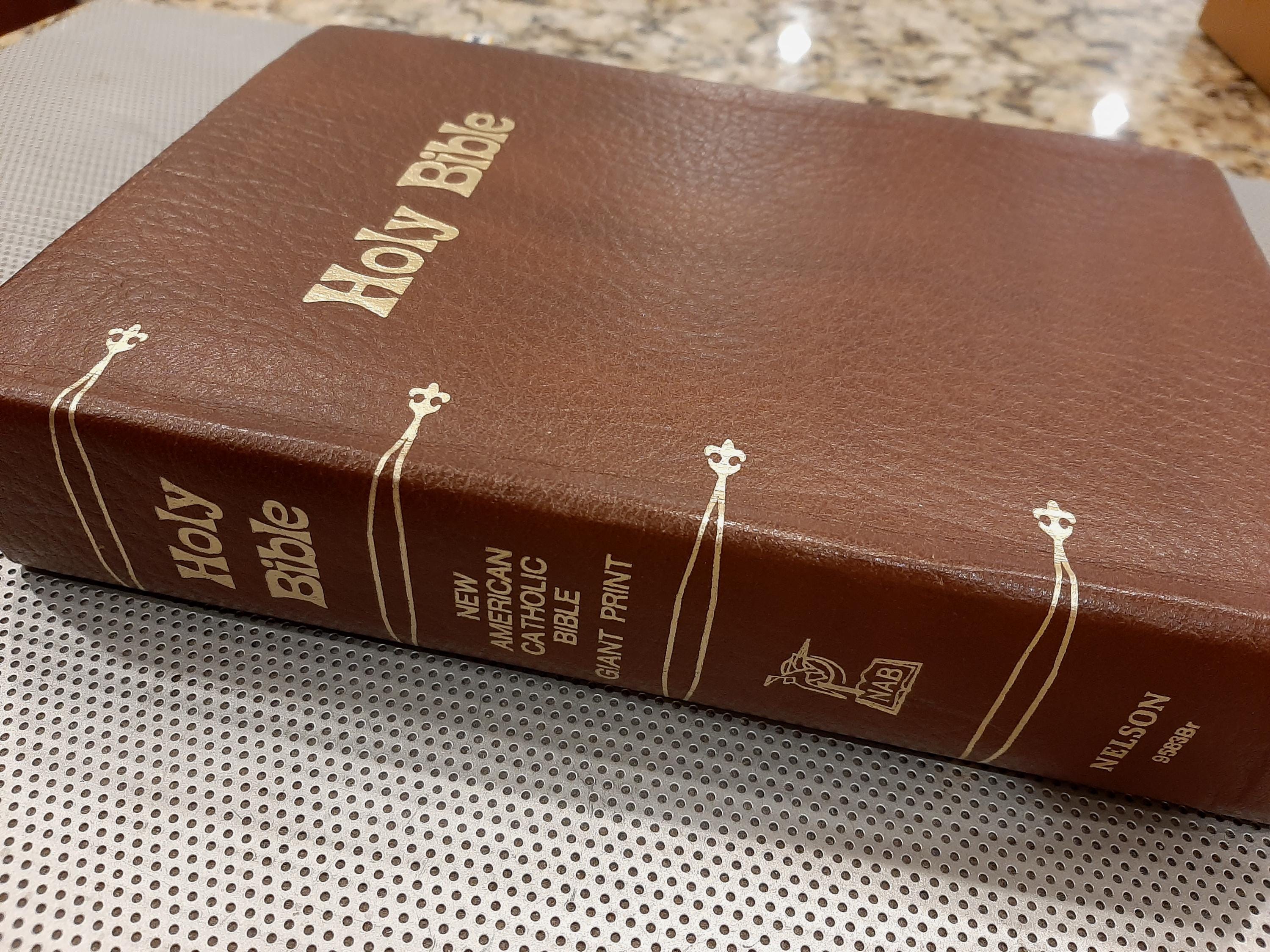 70s the Holy Bible - Etsy