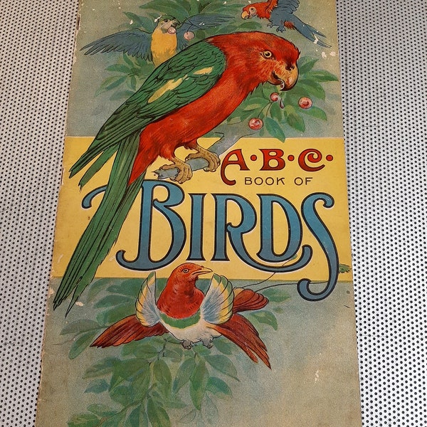 Antique 1916 ABC Illustrated Book Of Birds Drawings By Will F. Stecher Carolyn Hodgman Children’s Book Bird Lover Gift