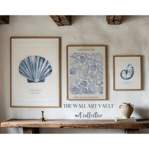 May include: Three framed art prints featuring seashell illustrations in shades of blue. The prints are displayed on a rustic wooden shelf against a white wall. The text "THE WALL ART VAULT art collective" is visible.