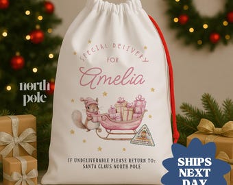 May include: A white Christmas gift bag with a red drawstring. The bag features the text "Special Delivery for Amelia" in pink script, along with a watercolor illustration of a squirrel pulling a sleigh of gifts. The bag also has the text "If undeliverable please return to: Santa Claus North Pole."