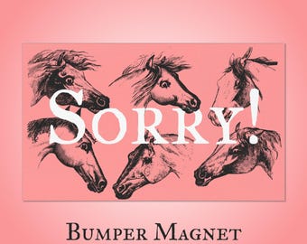 Sorry! Bumper Magnet