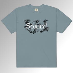 Sorry! with Horses Unisex heavyweight t-shirt