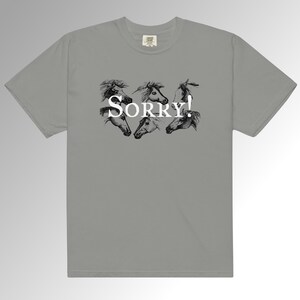 Sorry! with Horses Unisex heavyweight t-shirt