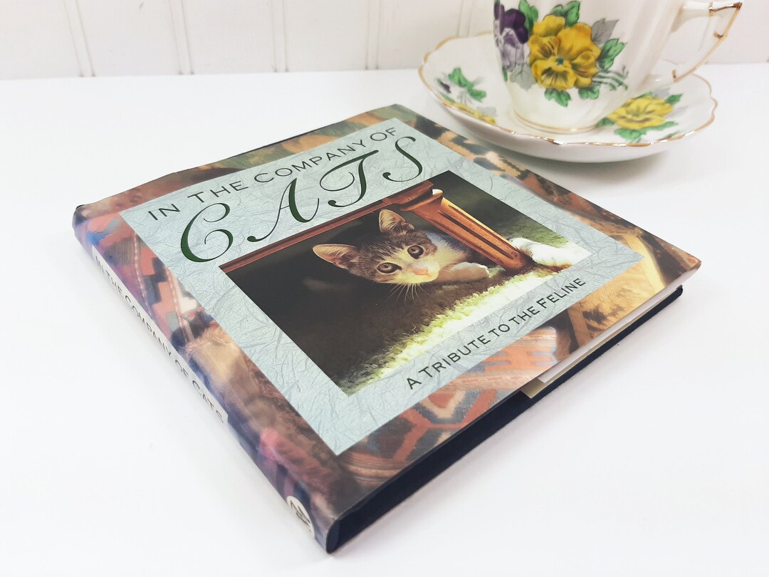 In the Company of Cats A Tribute to the Feline Andrews & Etsy