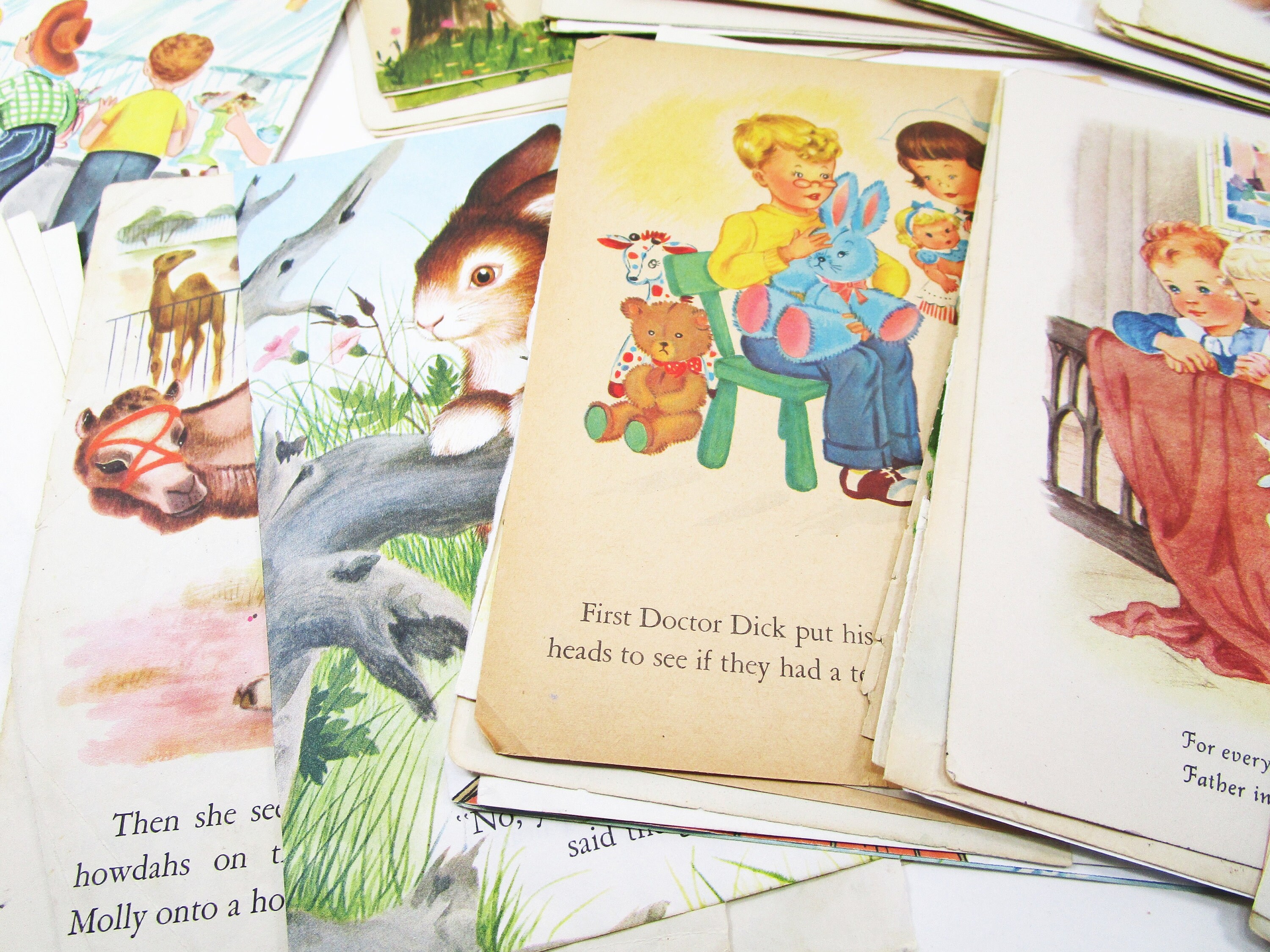 Dick Bruna Book - Etsy Dick Bruna Book - Etsy