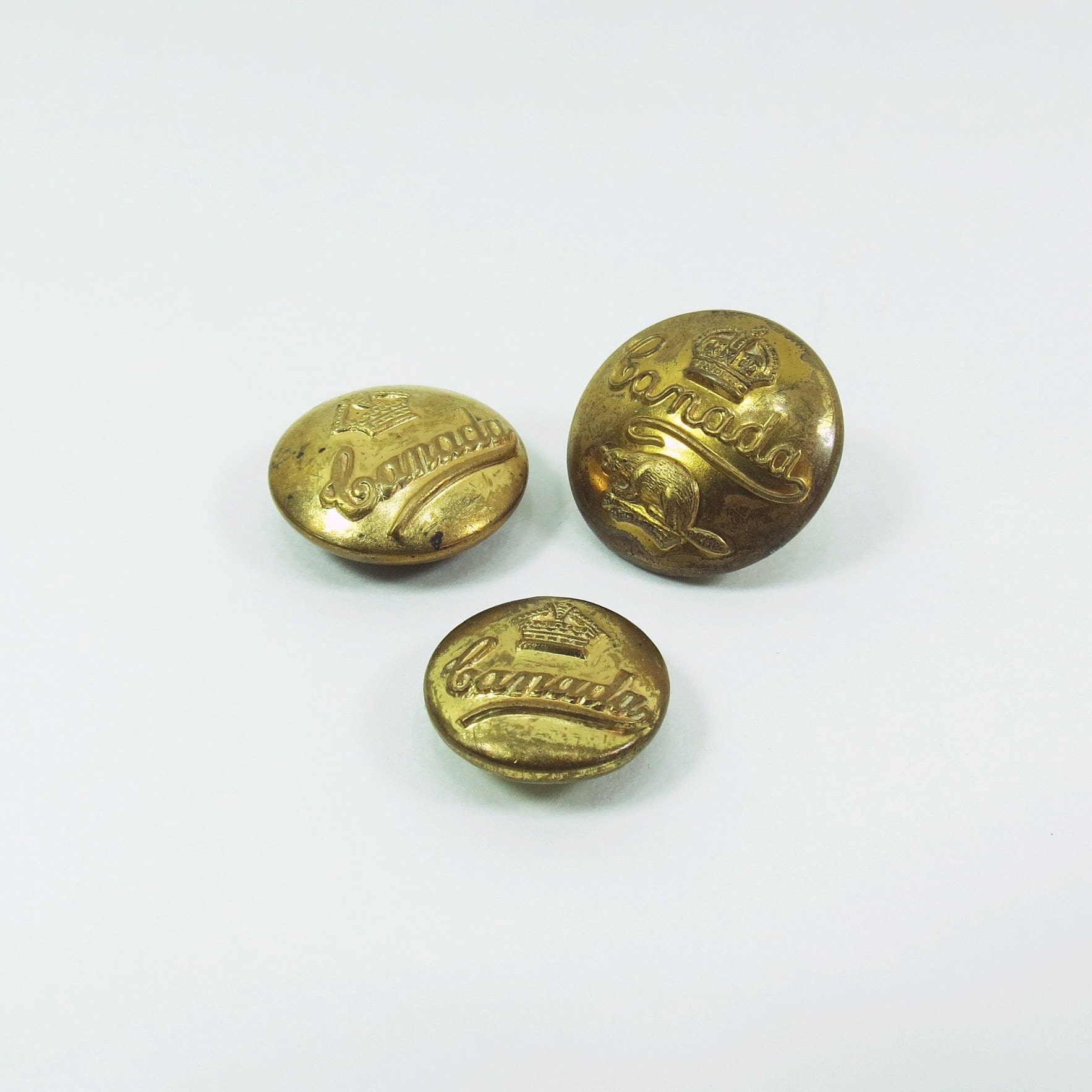 Brass Canada Buttons With Crown & Beaver Canadian Military Shank Back  Assorted Sizes -  Canada