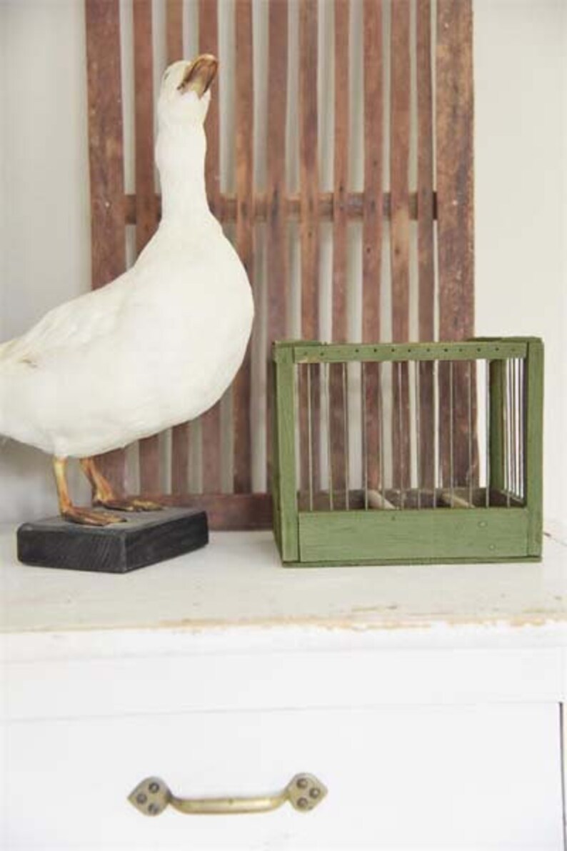 Furniture Paint Olive Green Natural Etsy