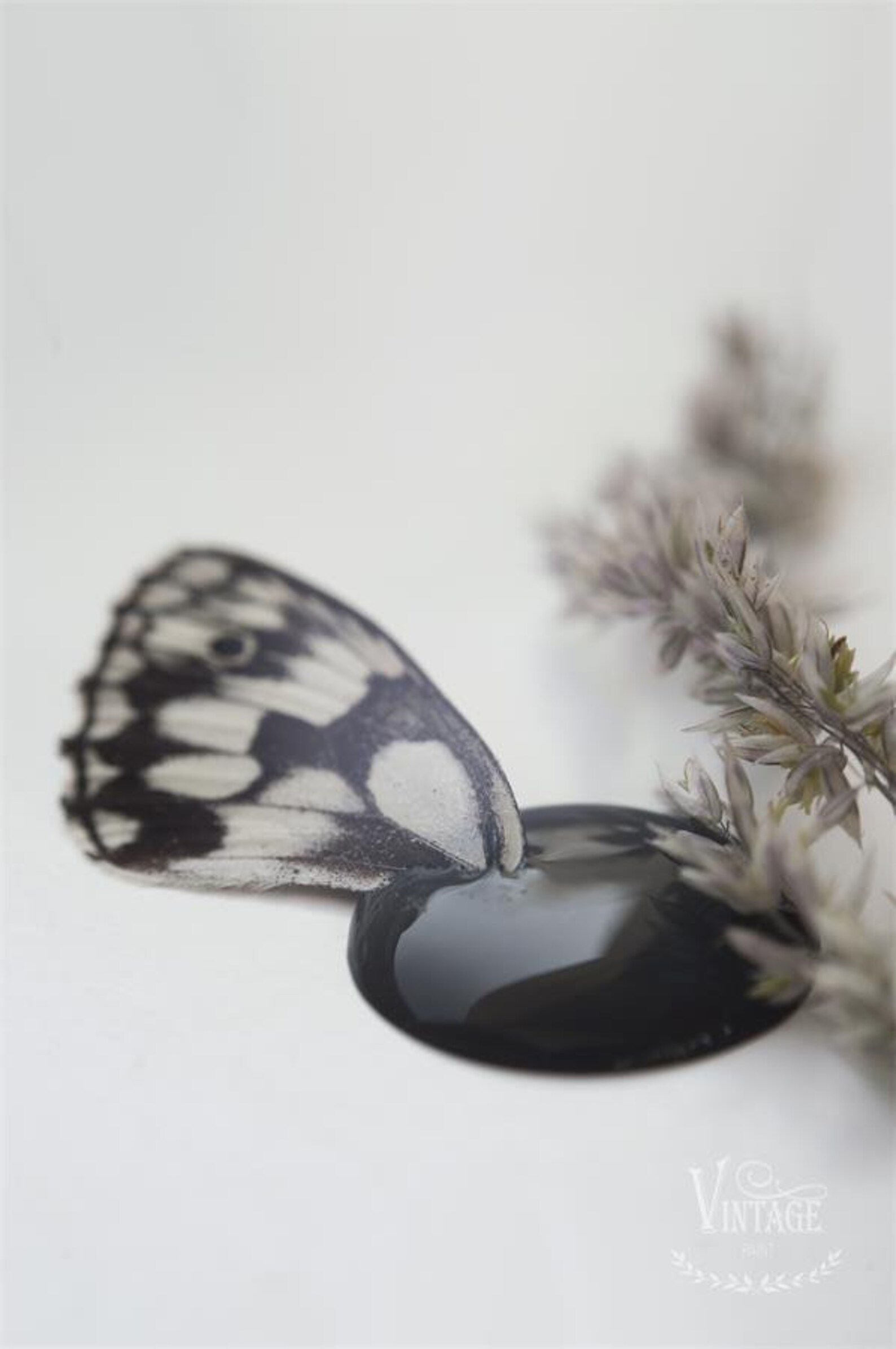 Black Velvet Chalk Paint Large Size Can Etsy