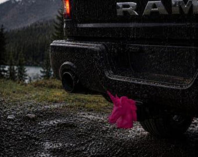 Majestic unicorn trailer hitch cover 50mm | 2 inch receiver plug | fun & humor | 3d printed petg