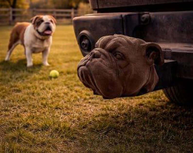 English bulldog trailer hitch cover 50mm | 2 inch receiver plug | dog lover | 3d printed petg