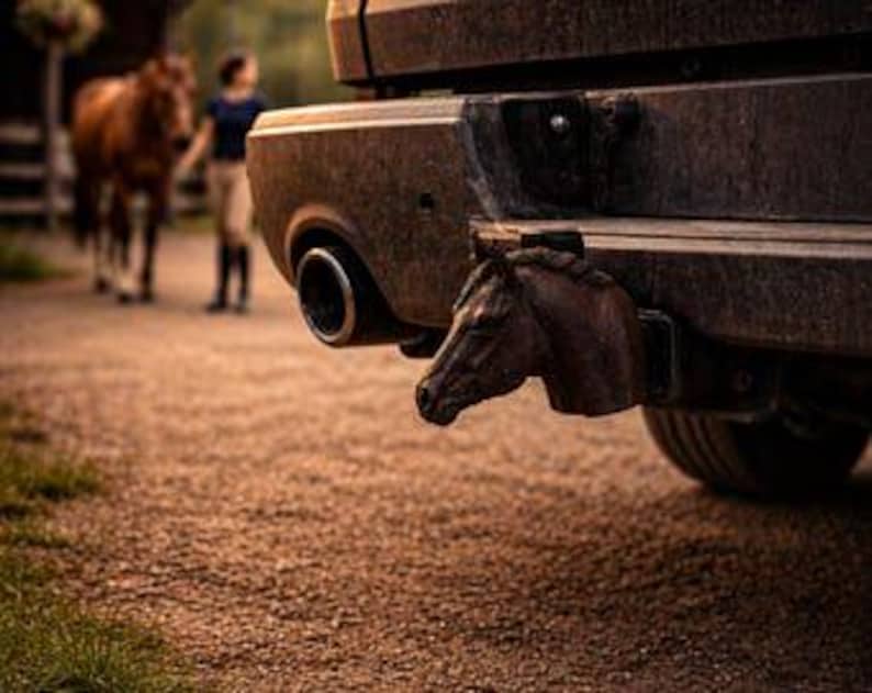 Dressage jumping horse trailer hitch cover 50mm | 2 inch receiver plug | animals & wildlife | 3d printed petg