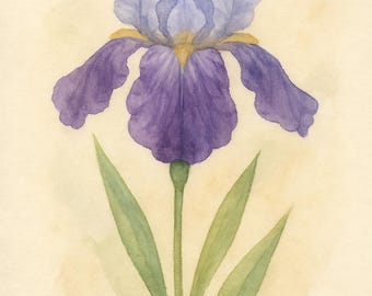 Schema punto croce fiore di iris / Disegno da ricamo in stile acquerello in formato PDF / Download immediato di uno schema moderno per ricamo floreale