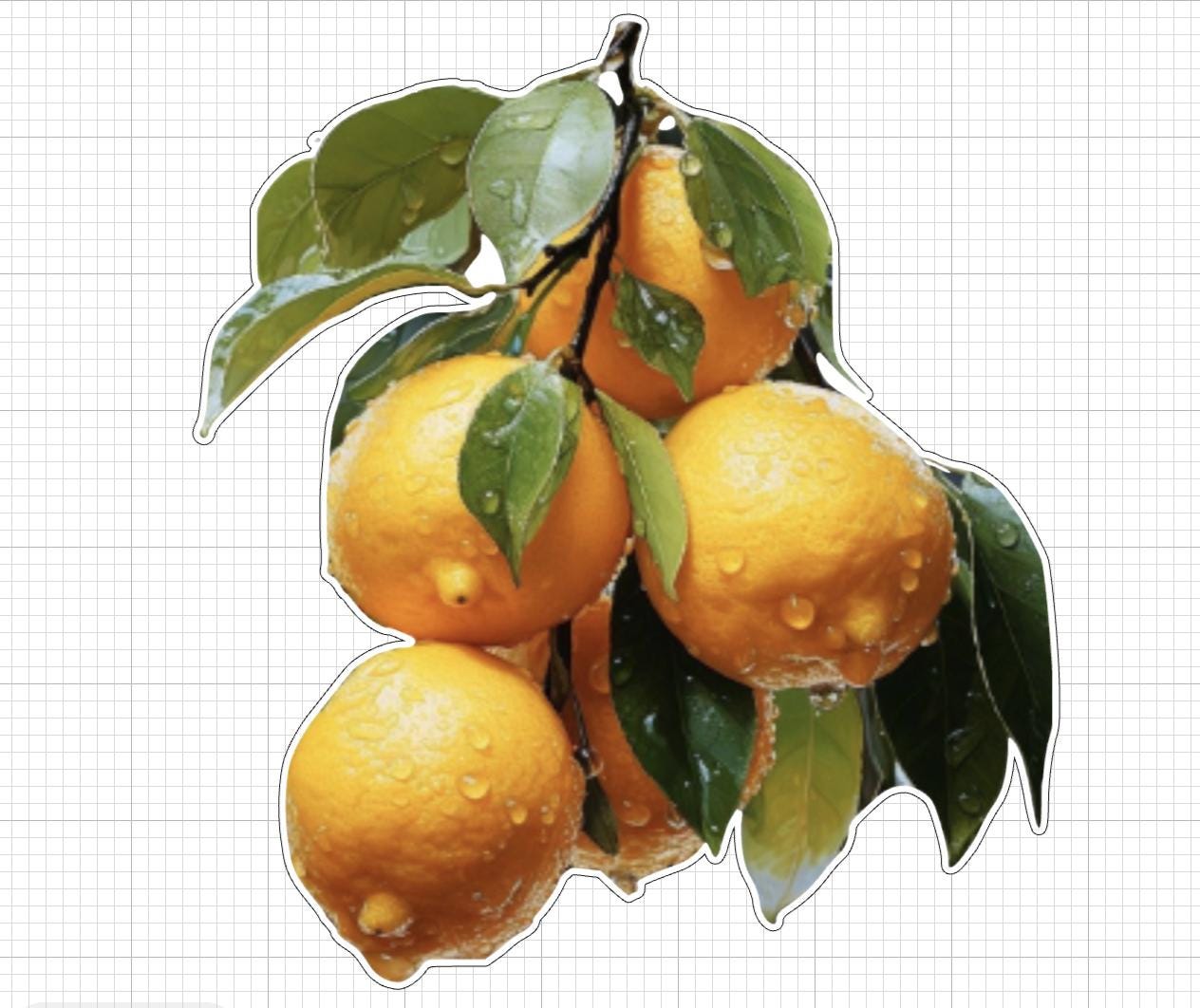 Lemon Sticker Transparent Clear Sticker Waterproof Weatherproof Lemons - Etsy