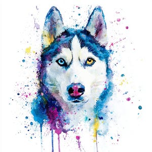 Può includere: Dipinto ad acquerello di un cane Husky siberiano. Il cane ha occhi blu e gialli, un naso rosa e un mantello bianco e nero. Schizzi di blu, viola, giallo e rosa circondano il cane, creando un effetto colorato.