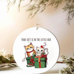 Funny Cat Christmas Ornament &quot;Your Gift is in the Little Box&quot;, Funny Gift for Cat Lovers, Sarcastic Cat Humor Present