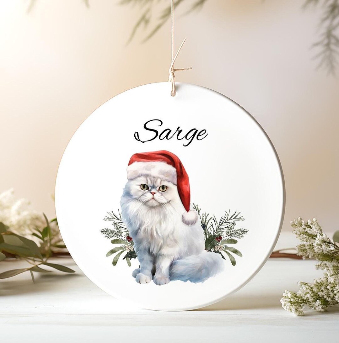 Personalized White Persian Cat Christmas Ornament, Custom Cat Ornament ...