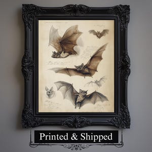 Vintage Bat Wall Art Print Home Decor Goth Halloween Gift for Bat lovers, Spooky Painting Witchy Poster Sophisticated Fruit Bats Painting