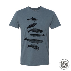 WHALES Unisex mens womens t shirt zen threads screen printed custom color printed tee ocean beach orca beluga humpback watching sea life Heather Slate