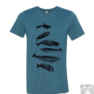 WHALES Unisex mens womens t shirt zen threads screen printed custom color printed tee ocean beach orca beluga humpback watching sea life H. Deep Teal