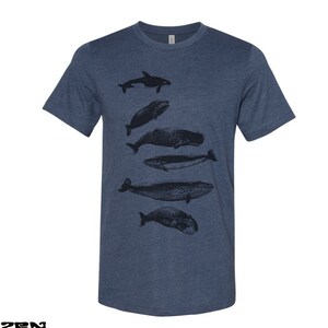 WHALES Unisex mens womens t shirt zen threads screen printed custom color printed tee ocean beach orca beluga humpback watching sea life Heather Navy