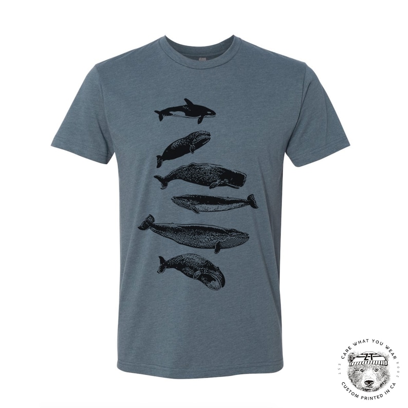 WHALES Unisex mens womens t shirt zen threads screen printed custom color printed tee ocean beach orca beluga humpback watching sea life Heather Slate