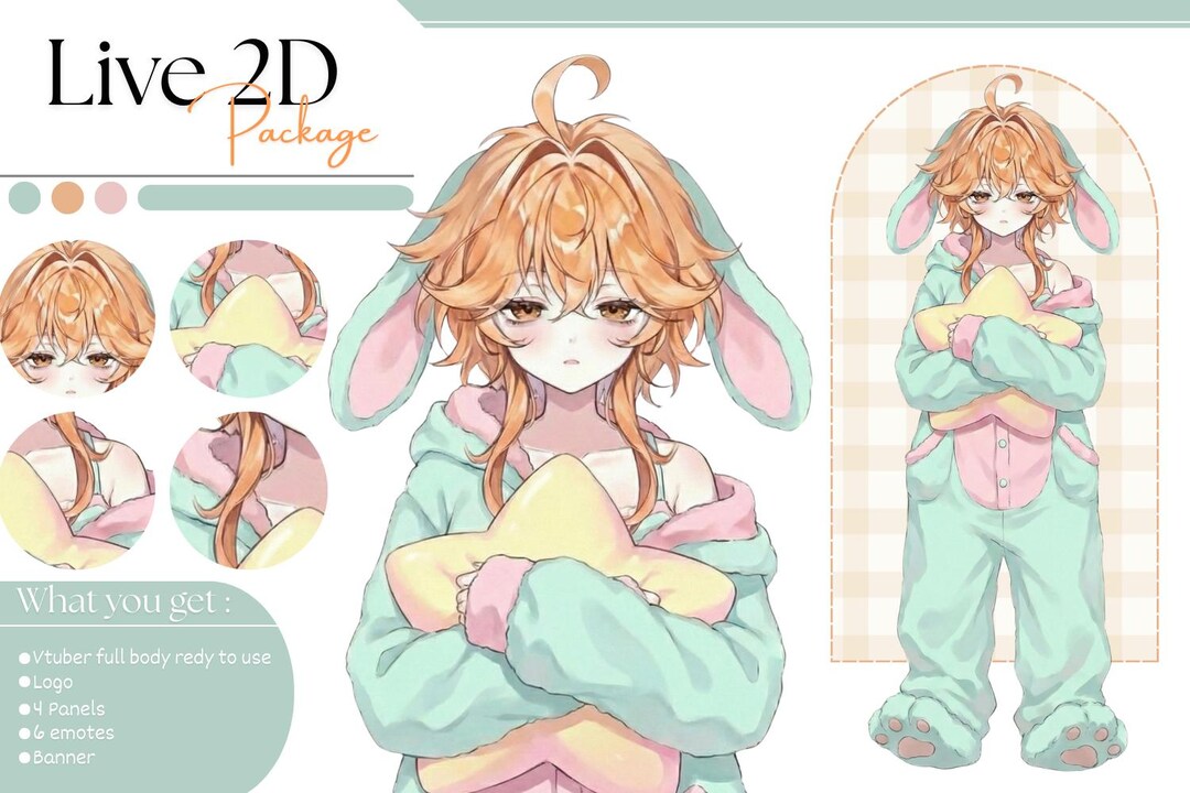 Custom Live2d Package Anime Vtuber Model Commission - Etsy Australia