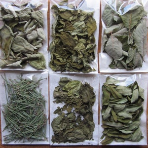Dried Leaves for Incense, Spell or Charm Ingredients. Blackberry, Rowan, Willow, Blackthorn, Scots Pine, Poplar, Gorse, Alder.